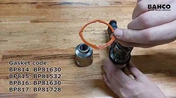BP814 BP815 BP817 HAMMER ORNAMENTAL GASKET REPLACE PROCEDURE
