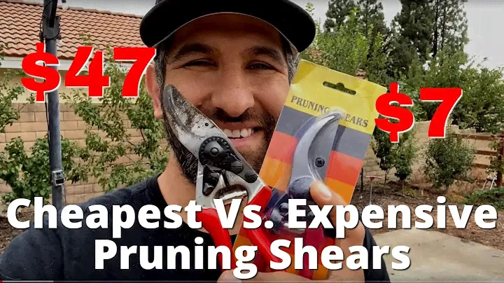 CHEAPO Pruning Shears from Amazon Compared to Quality Felco Shears