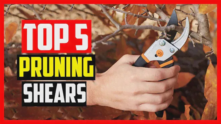 Top 5 Best Pruning Shears in 2024