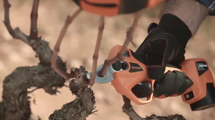 Discover our latest generation vineyard cordless tools!