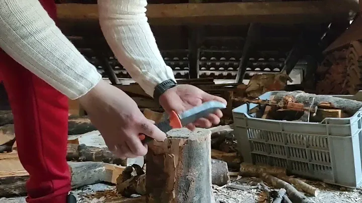 Bacho 2449 knife, Il Killer dei coltelli costosi?